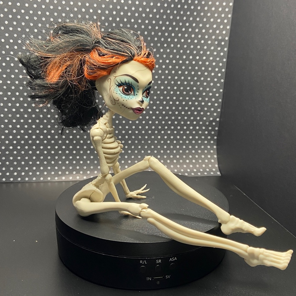 Monster High Skelota Calaveras doll from scar is city of fright line.
